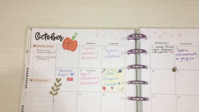 Американский Школьный Дневник. Planner 2018-2019. смотреть онлайн