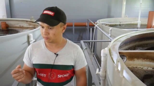 Оборудование "ООО ИТЦ Экструдермаш" в глобальных проектах. смотреть онлайн