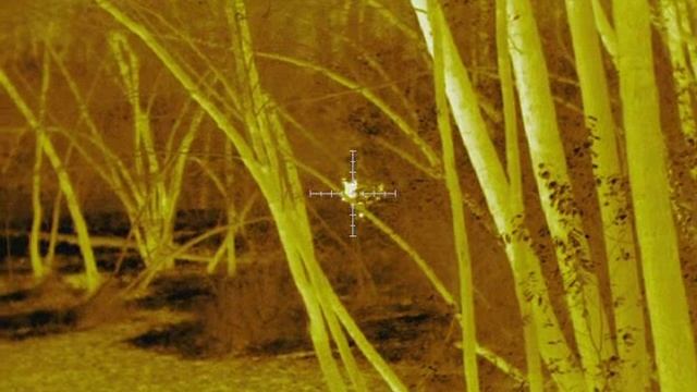 Кабан Арчер смотреть онлайн