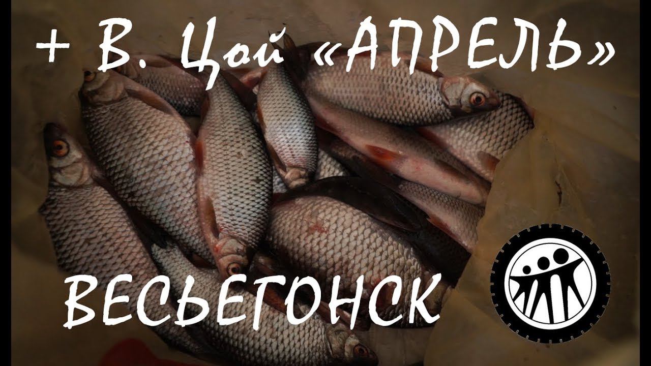 Последний лед... И все же хороший был день ! смотреть онлайн