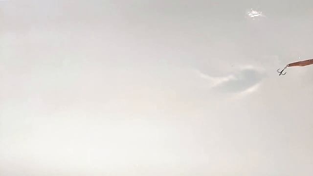 Лучшая со времён Сабанеева... || блесна УРАЛКА || Замедленная съёмка смотреть онлайн