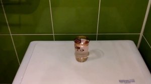 indesit nsl605 s