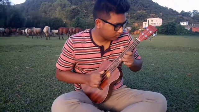 Yiruma - River Flows In You (Ukulele) смотреть онлайн