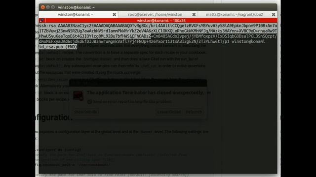 Screencast: Basic SSH key use and sudo смотреть онлайн