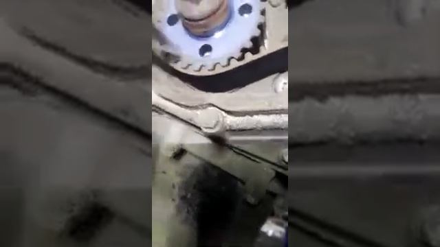 Про ГРМ Фиат Дукато/Fiat Ducato - Близнецы.ком