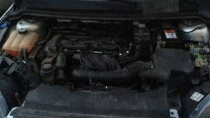 Ford Focus 2 не заводится