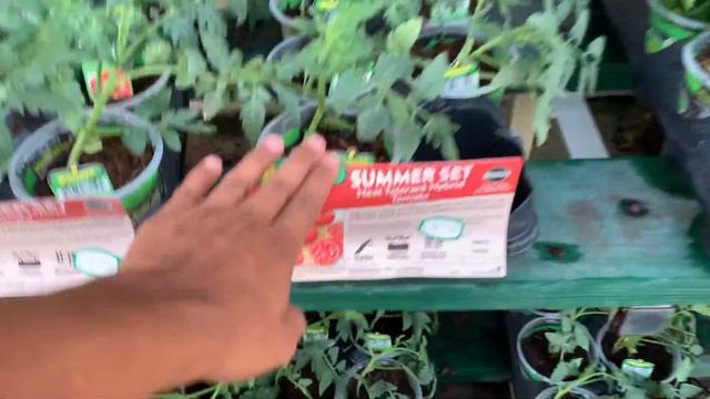 Home Depot Garden Center Tour!! August Plant Inventory!!🌸🌿💖S:1,Ep.84//Ultimate Gardening смотреть онлайн