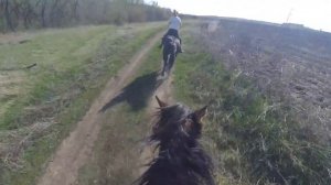 Поездка в поля на лошади (Агата) от первого лица