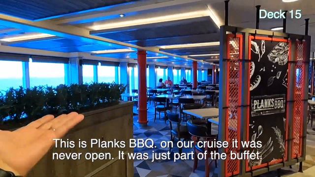 Caribbean Princess Ship Tour 2023 - A Quick Look смотреть онлайн