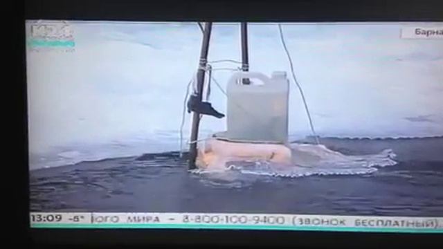 К24 Прорубь на оз Пионерское. Барнаул смотреть онлайн