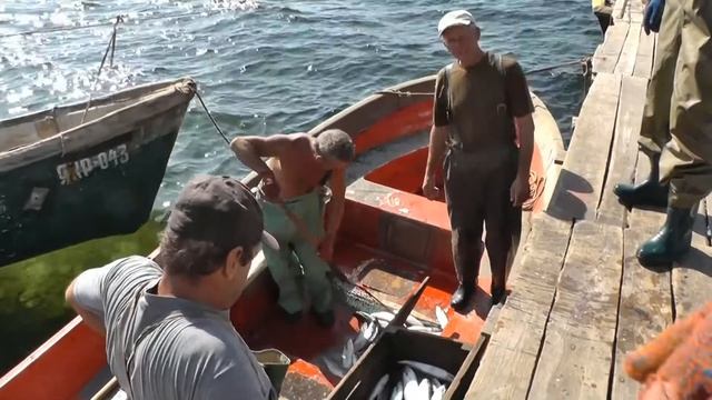Крым у рыбаков Владимировки смотреть онлайн