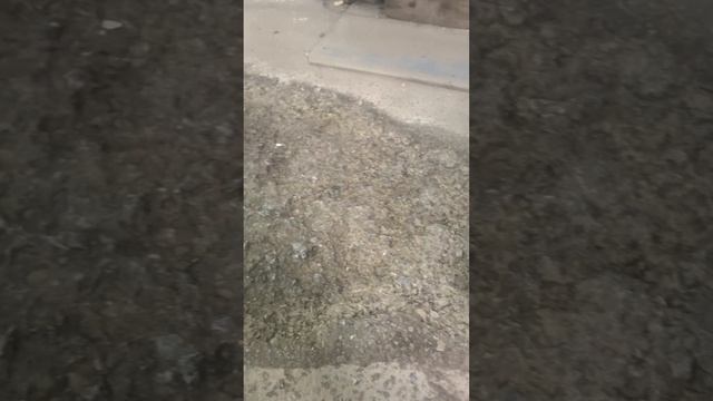 Ремонт бетонного Пола (Гараж)