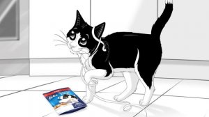 PURINA FELIX - SAINT FELIX 2017