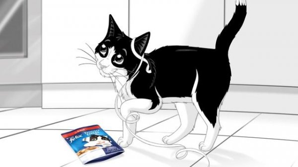 PURINA FELIX - SAINT FELIX 2017