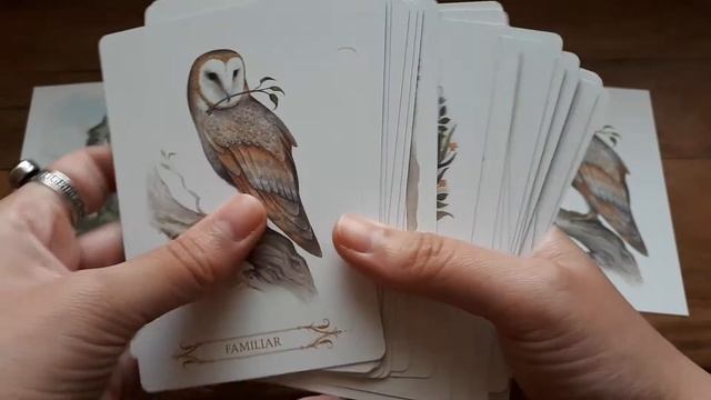 DECK REVIEW | A Compendium Of Witches Oracle смотреть онлайн