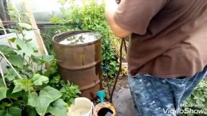 Купили чудо шланг Ультра | выскользнул конец | Magic Garden Hose 75 FT