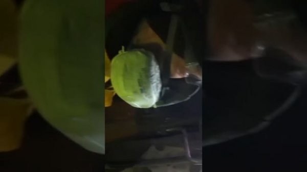 Торкрет установка UNI 50-3 PAUS