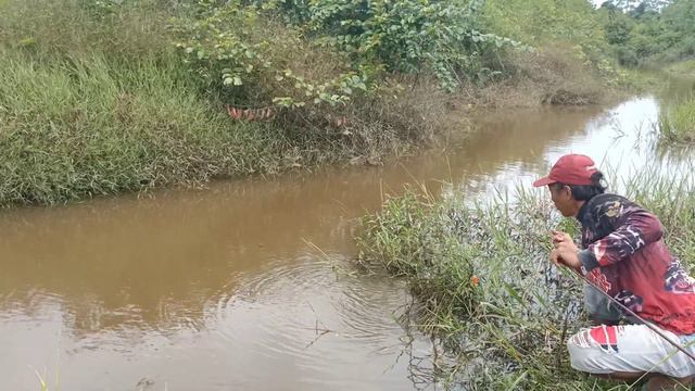 NYARIS SATU ABAD‼️PARIT INI GAK ADA YANG MANCING IKANYA BESAR BESAR смотреть онлайн
