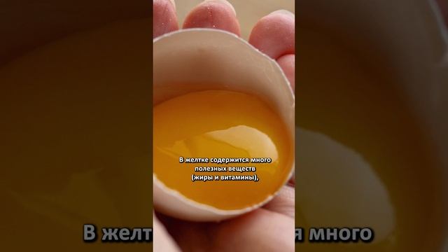 ✅ Что полезнее: желток или белок? смотреть онлайн