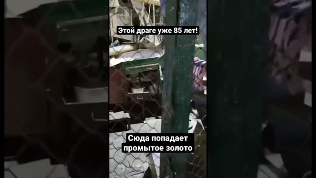 Как устроена американская драга, которая уже 85 лет добывает золото в Амурской области на прииске смотреть онлайн