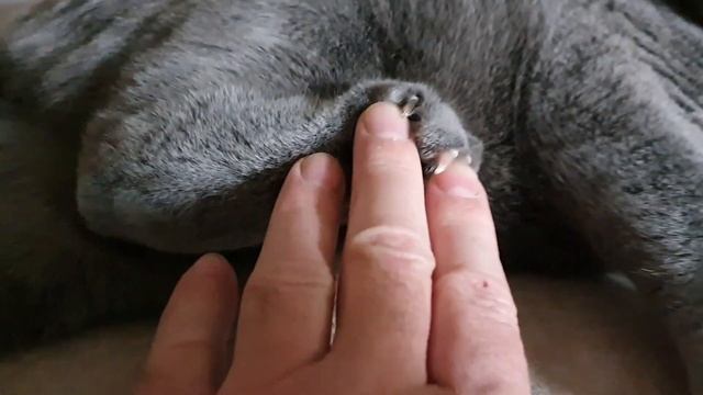 Вот почему британцы такие недотроги? смотреть онлайн