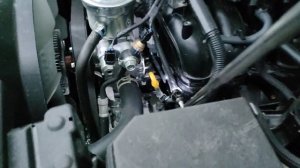 Где находится вин номер и номер двигателя ленд крузер прадо 2021 год 2.7 бензин