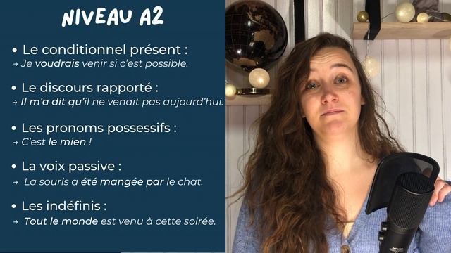 French grammar STUDY PLAN - Beginner to advanced смотреть онлайн