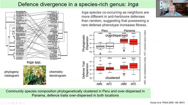 Novotny Community Ecology Lectures: 03 Herbivory, phylogenetic perspective смотреть онлайн