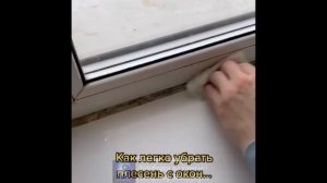 Лайфхак. Избавляемся от плесени на окнах.