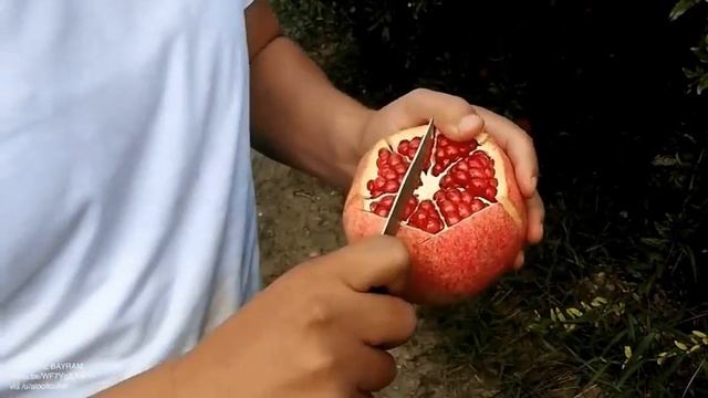 ЛАЙФХАК! Как чистить гранат. смотреть онлайн