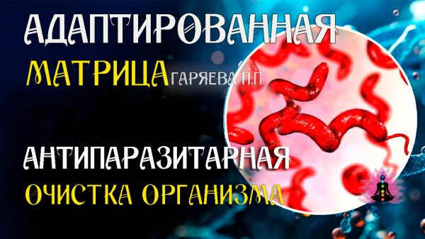 Антипаразитарная матрица 🌀 Адаптированная программа матрица по технологии Гаряева ☀️ SoftRadio.ru