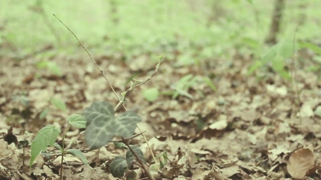 «Між іншим». ВІРШ ПРО ЖИТТЯ. смотреть онлайн