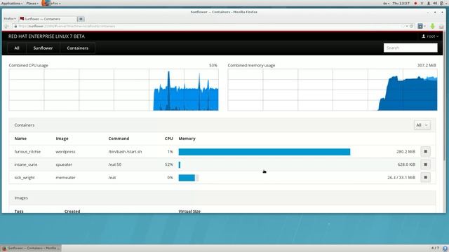 Linux containers and application isolation - Cockpit and Docker system resource management смотреть онлайн