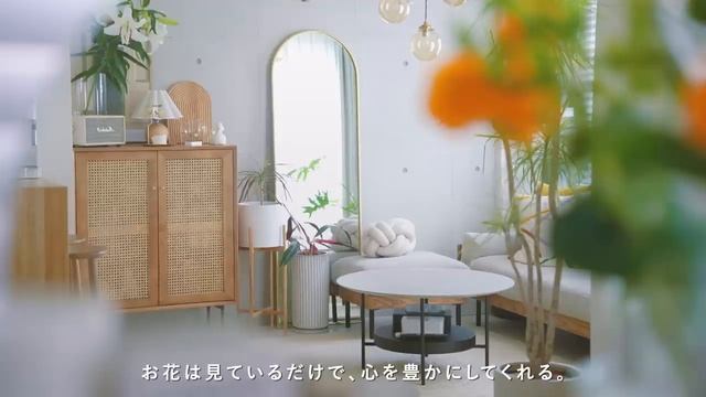 5:30AMの早起き習慣を大切にする理由｜1日の始まりを心地よくするモーニングルーティン｜Why I Wake Up Early смотреть онлайн