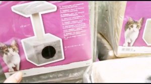 Покупаем самое необходимое для Котёнка|| Первые Покупки