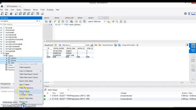 Native SQL for collections mapping in hibernate Example смотреть онлайн