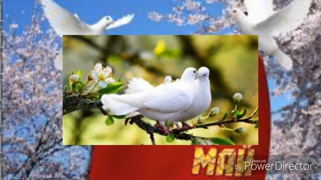 С праздником 1 мая!!!