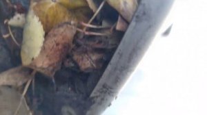 Чистка передних подкрылок Веста.mp4