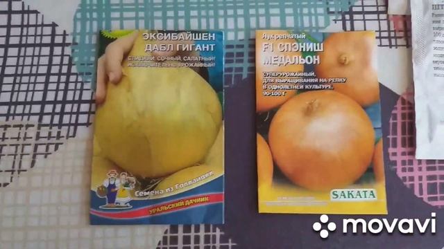 ЛУК ЭКСИБИШЕН посадка и уход после всходов. Как вырастить крепкую рассаду смотреть онлайн