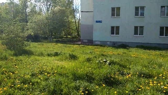1145, 16.05.2021, Орёл, Московское шоссе, ресторан Сударь, магазин Юность, УВМ, сухой фонтан, ИФНС смотреть онлайн
