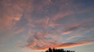 Город Актобе, Казахстан. Где жили? Что ели? Отели. Квартиры. Свадьба.