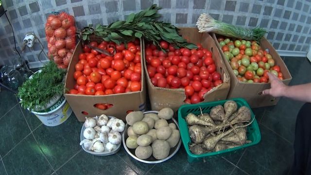 Ростовский Оптовый РЫНОК ЦЕНЫ Ноябрь 2019. Выпуск №568