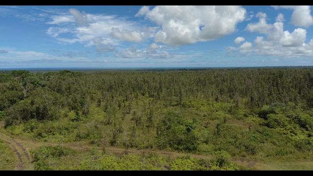 4K Video Using Autel Robotics Evo Drone смотреть онлайн