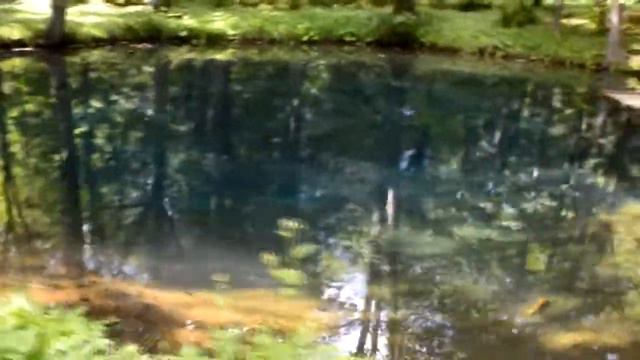 Усадьба Горки смотреть онлайн