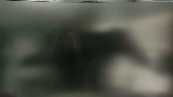 SOLUCIONADO New CPU installed, fTPM NV corrupted #TPM #Aorus #Gigabyte