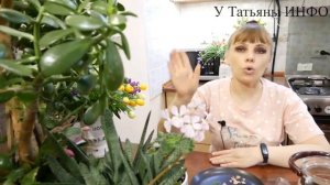 ✔️ Отличное удобрение / Как приготовить отвар луковой шелухи для комнатных растений.