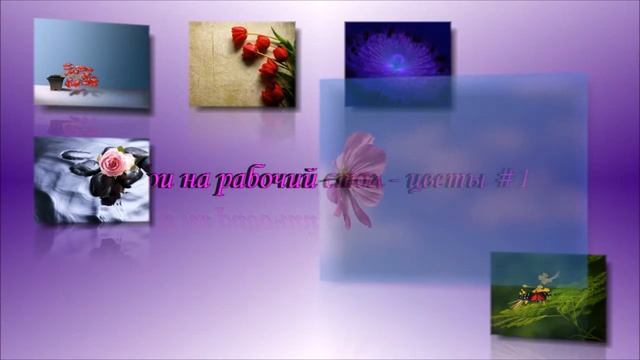Обои на рабочий стол - цветы #1/Desktop wallpapers - flowers # 1 смотреть онлайн