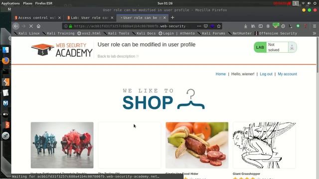 Portswigger Academy Access Control Labs Solution смотреть онлайн