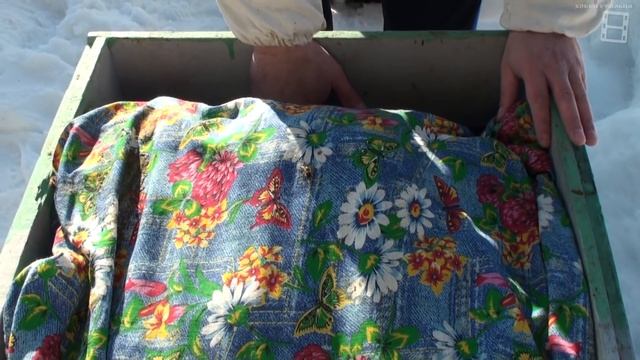 ПОДКОРМКА ПЧЕЛ РАННЕЙ ВЕСНОЙ. ДАЕМ СИРОП В ПАКЕТАХ. ЛЮБИТЕЛЬСКОЕ ПЧЕЛОВОДСТВО С "0" смотреть онлайн