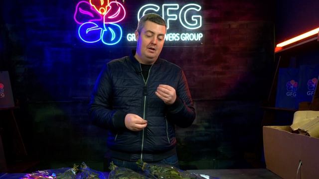 Её лучше не брать | Цветы оптом | Плантация Baraka | Кения смотреть онлайн